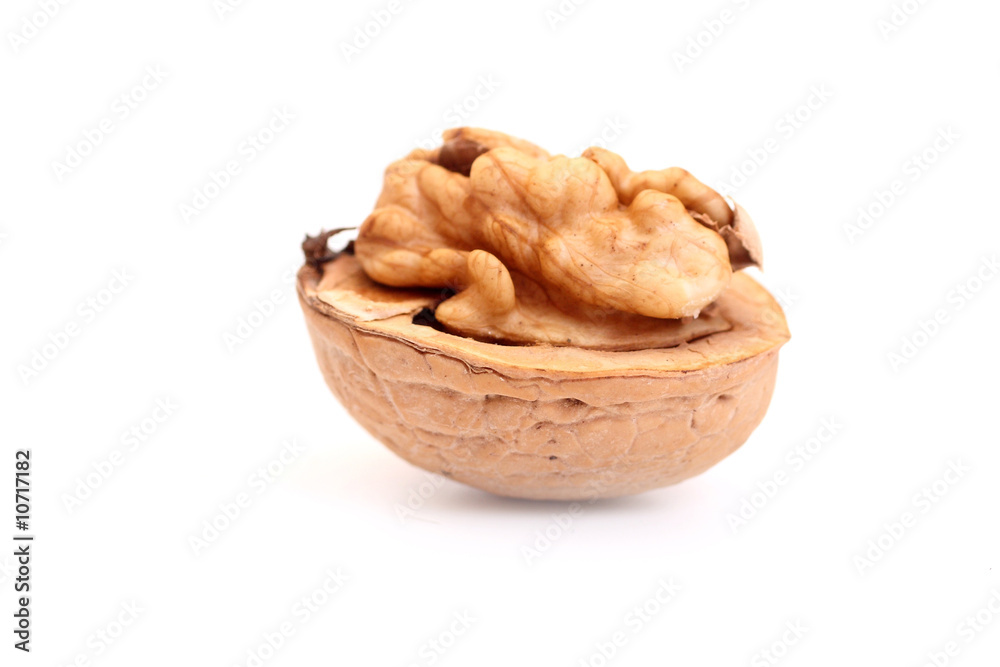walnut