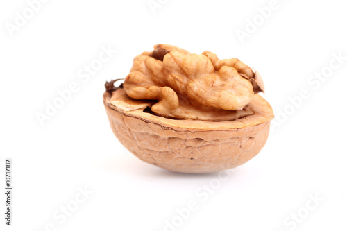 Obraz na płótnie walnut w salonie