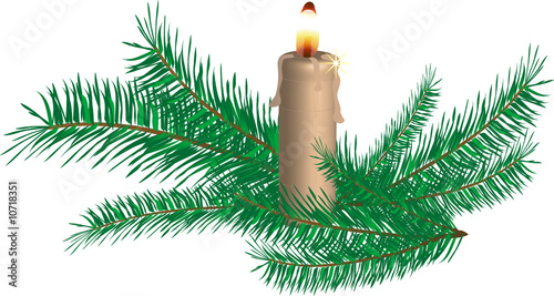Candle and spruce twigs - vector illustration