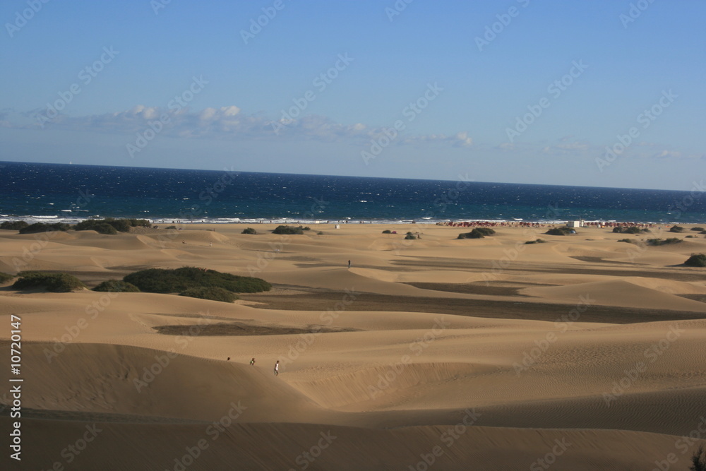 Dünen Maspalomas_8 Dünen Maspalomas_8