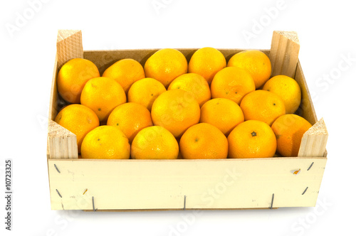 container filled with mandarins