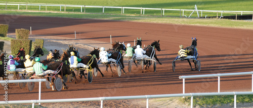 course de trotteurs