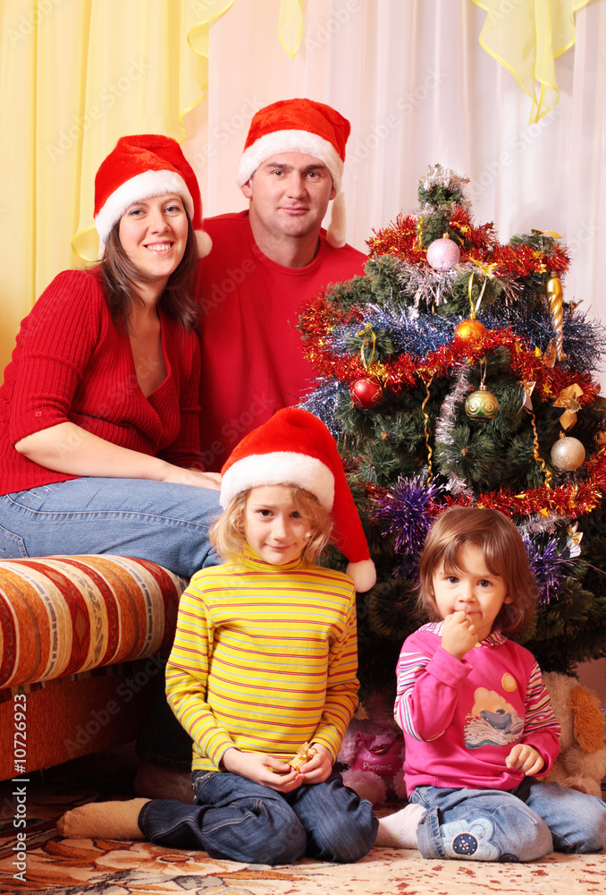 family with christmas fir family with christmas fir