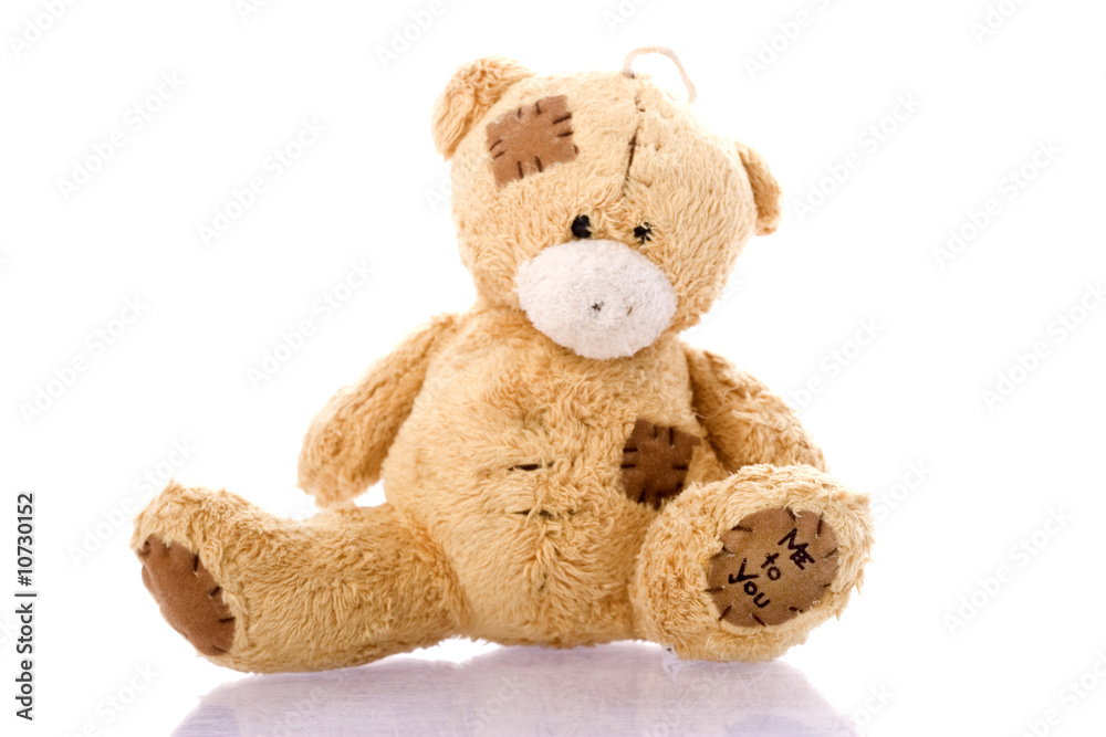 Obraz premium Teddy bear
