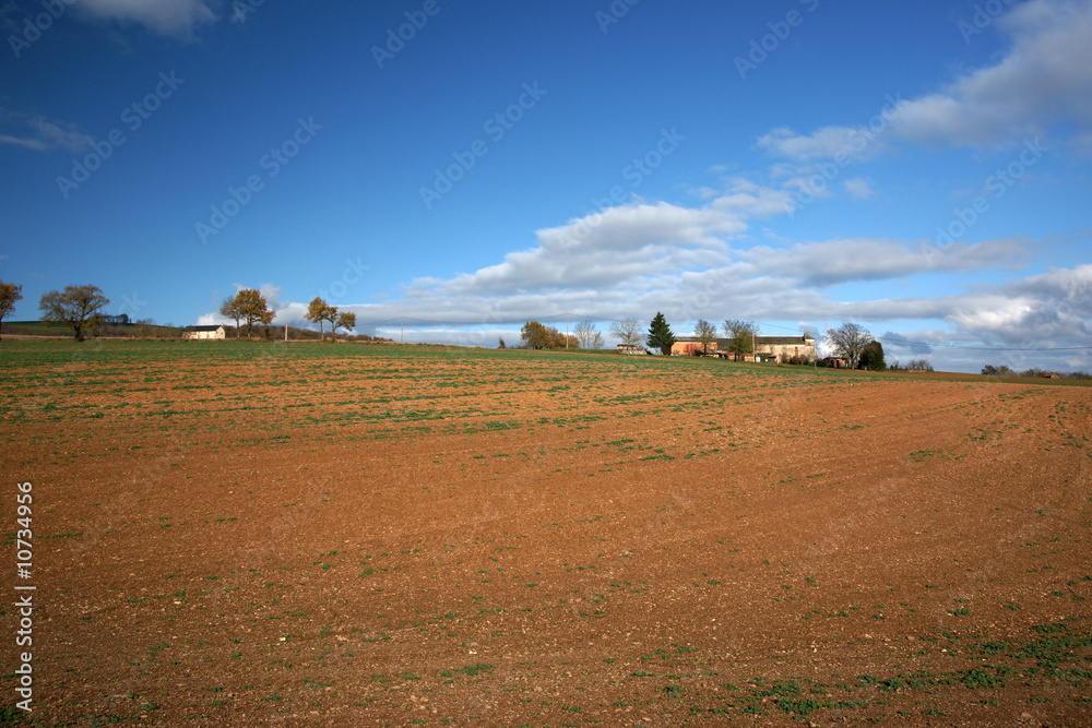 Obraz premium agriculture