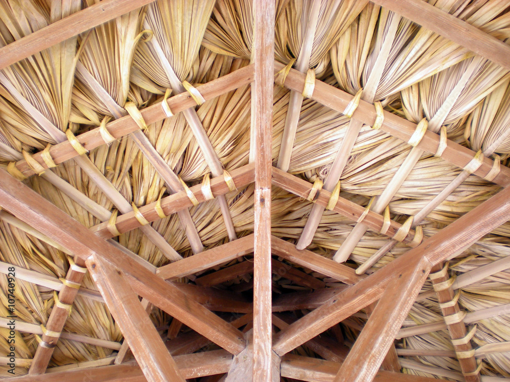 Under the Palapas. Tropical construction - palm-leaf roofing.