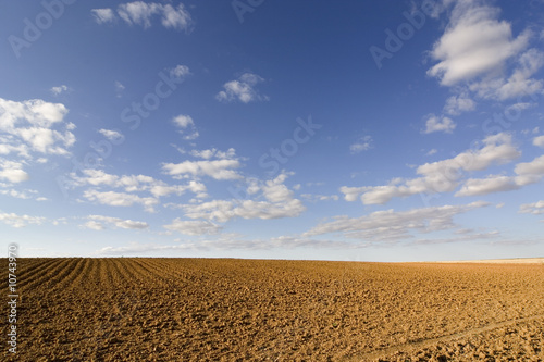 brown soil field