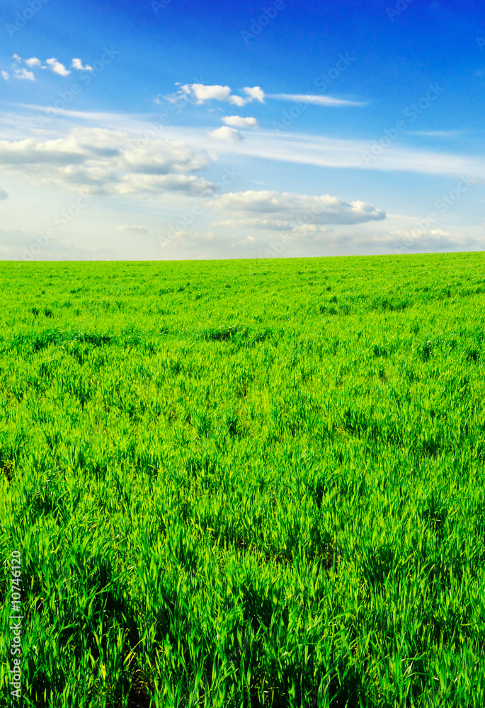 field