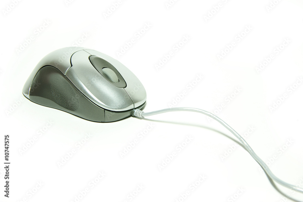 computer mouse computer mouse