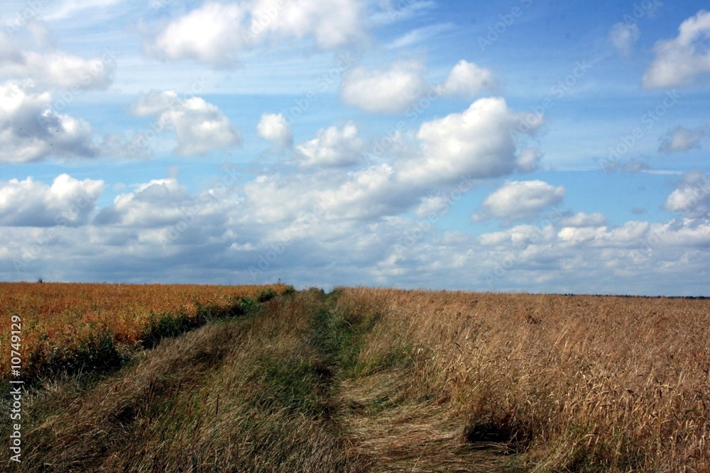 Clouds