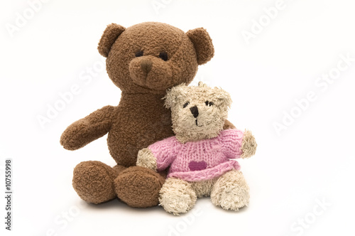 Two cute teddy bears