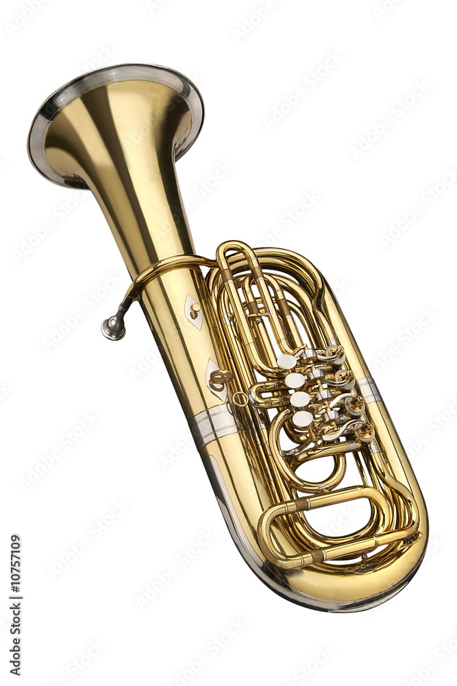 Obraz premium Tuba_7595b.