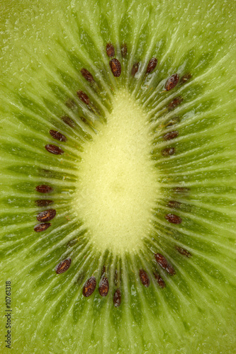 Section of a kiwi