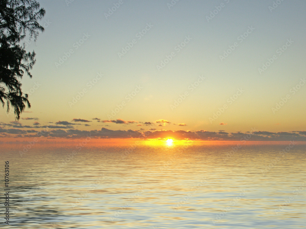 Fototapeta premium paysage au coucher du soleil