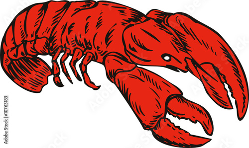 Lobster