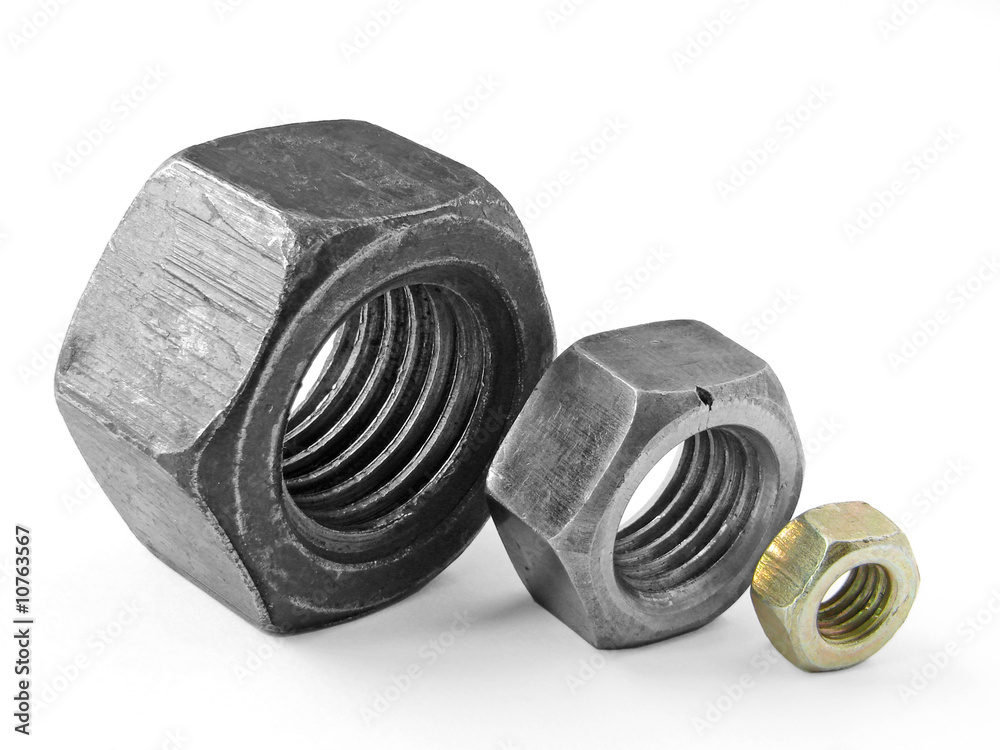 old nuts set on white old nuts set on white