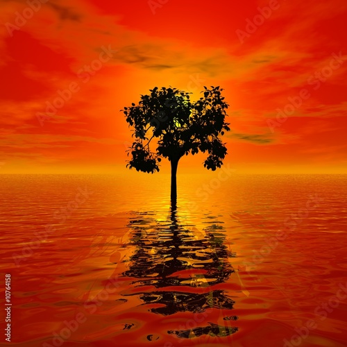 Tree in Water