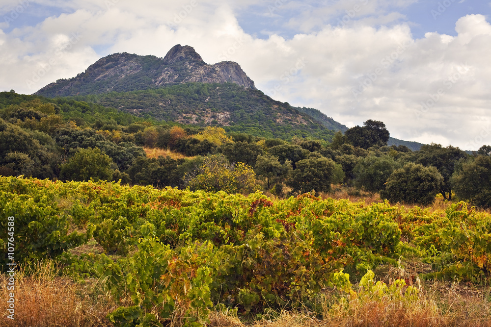 Fototapeta premium La Peña de Cenicientos