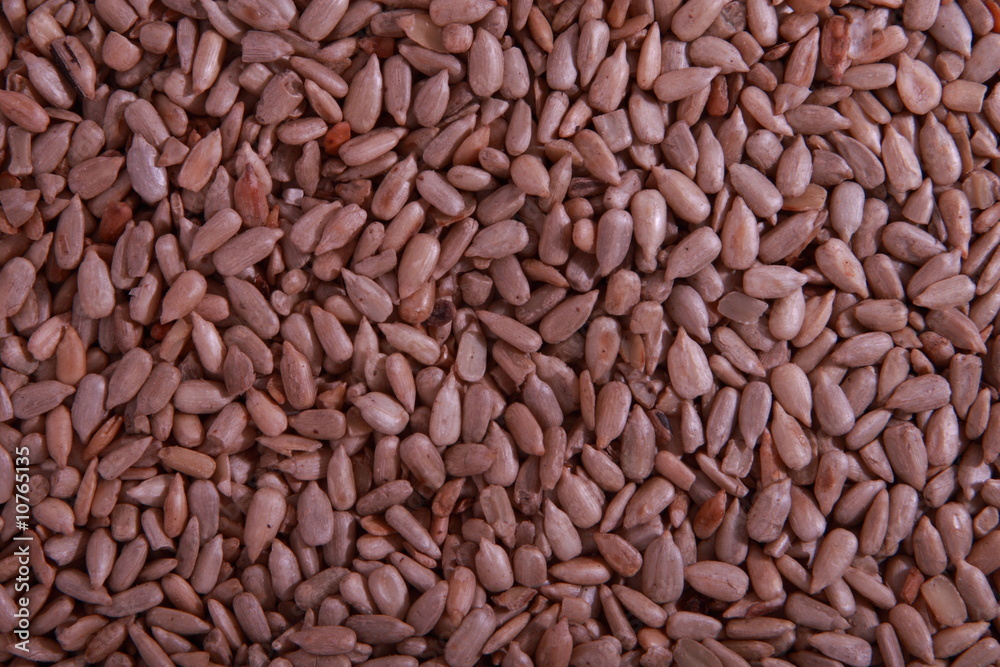 roasted sunflower seeds roasted sunflower seeds
