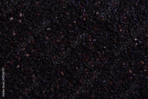 black sesame seeds © Zhiqiang Hu