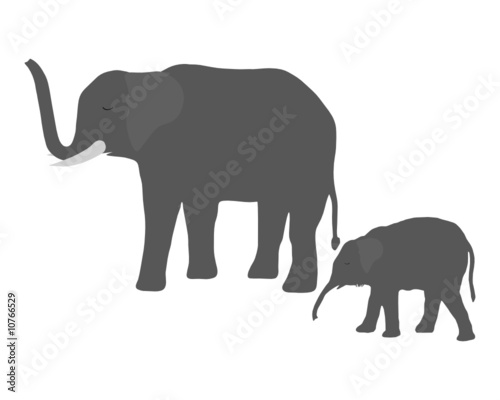 Elefantenkuh mit Jungem