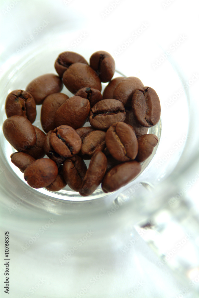 Kaffeebohnen in einer Glastasse Kaffeebohnen in einer Glastasse