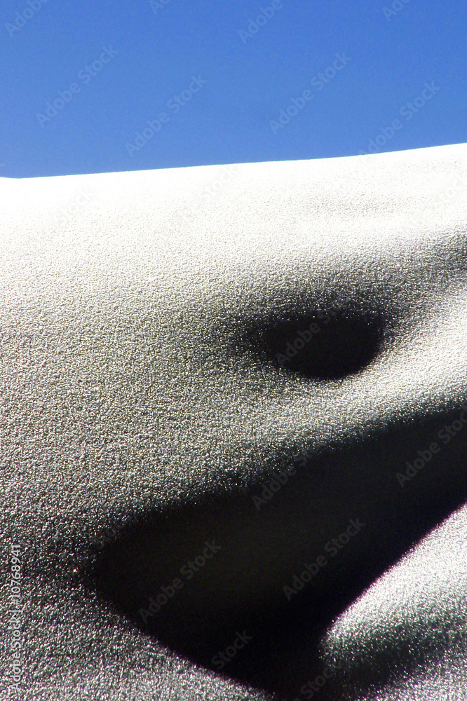 Fototapeta premium Winter