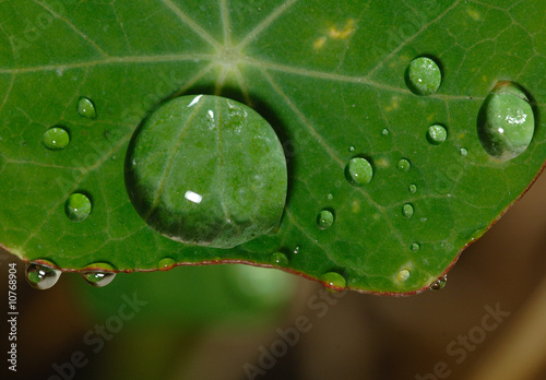 Lotus effect, Lotuseffekt