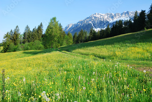 Wilder Kaiser mountains in Austria © manfredxy
