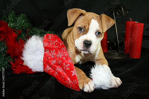 Waiting for Santa