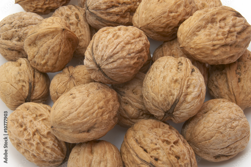 walnut 5 walnut 5
