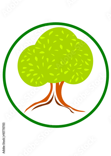Baum