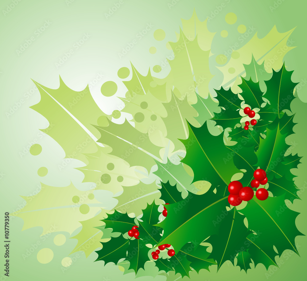 Fototapeta premium Holly berries background