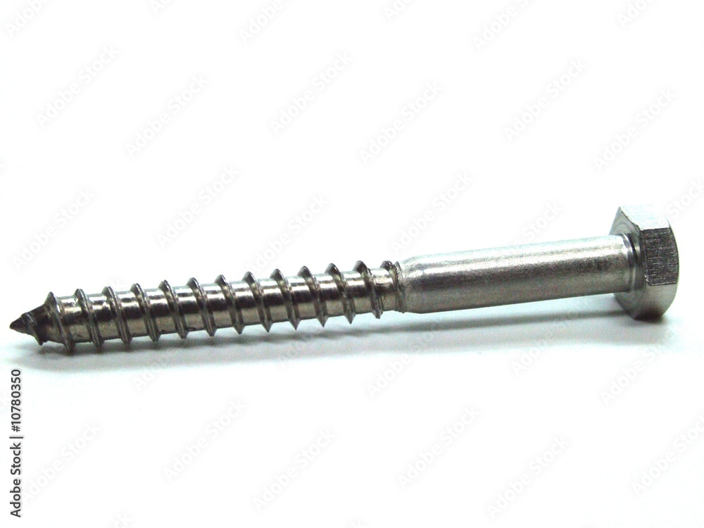woodscrew woodscrew