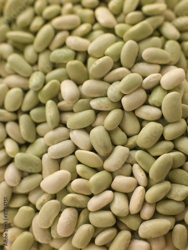 Flagelot Beans