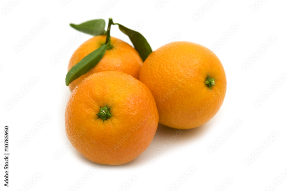 fresh three tangerine on white background.. fresh three tangerine on white background..
