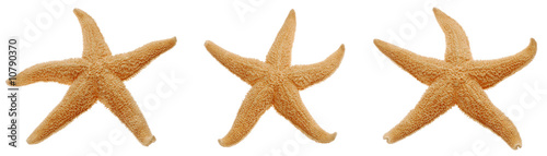 Three happy starfishes