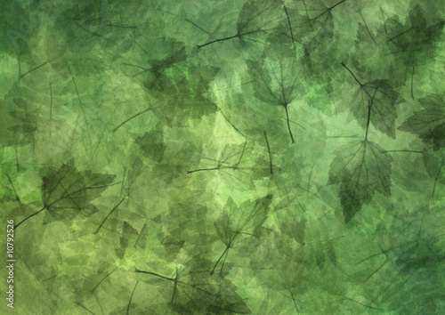 Leaf background
