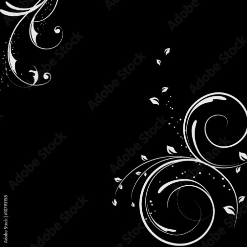 FLORAL BLANC FOND NOIR