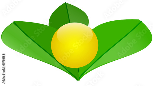 Bio