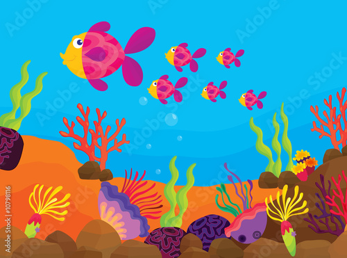 tropical fish
