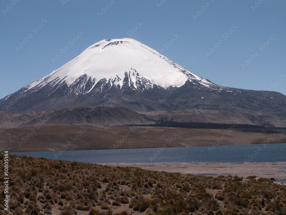 Fototapeta premium KONICA MINOLTA DIGITAL CAMERA