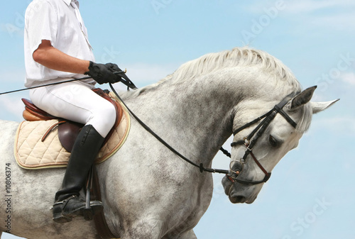 jockey on dressage horse