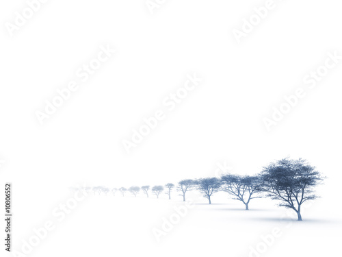trees in misty haze in a gl...