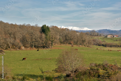 nature et hiver