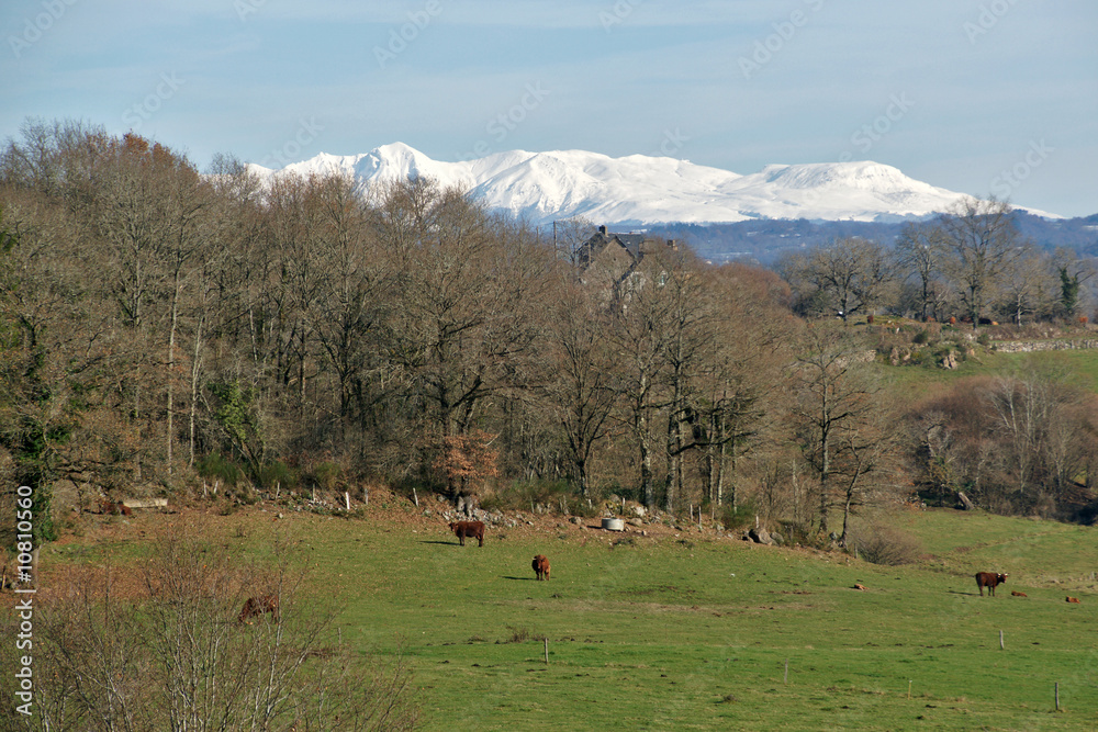 campagne d'hiver