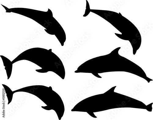 dolphins silhouette collection - vector