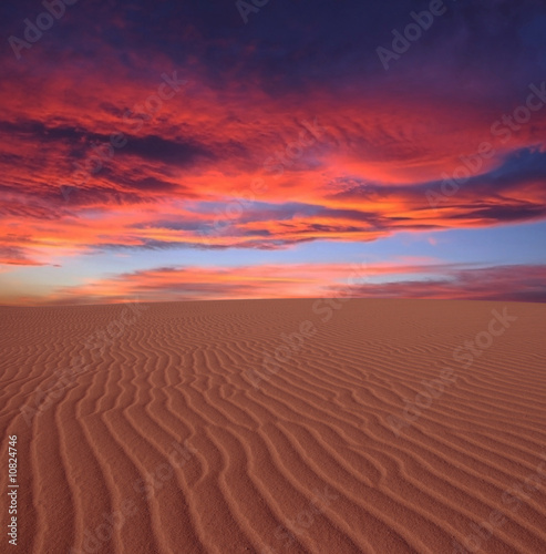 soleil couchant sur le sable du d  sert