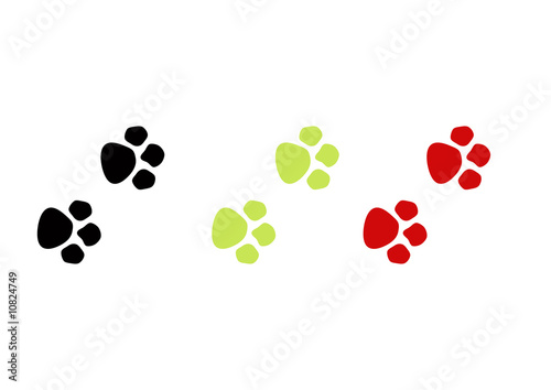 paw prints