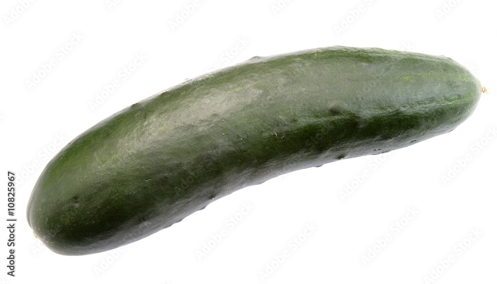 cucumber new 1 cucumber new 1